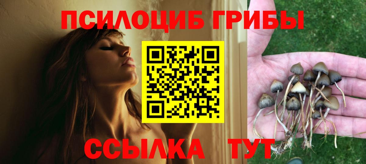 Галлюциногенные грибы GOLDEN TEACHER  Псилоцибиновые грибы MAGIC MUSHROOMS  Мичуринск  Вход с VPN 